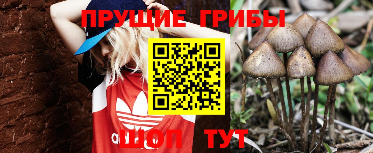Галлюциногенные грибы мицелий Ханты-Мансийск